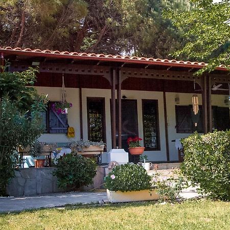 Estate Irene Villa Alexandroupoli Bagian luar foto