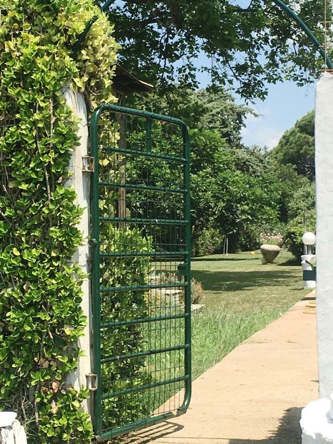 Estate Irene Villa Alexandroupoli Bagian luar foto