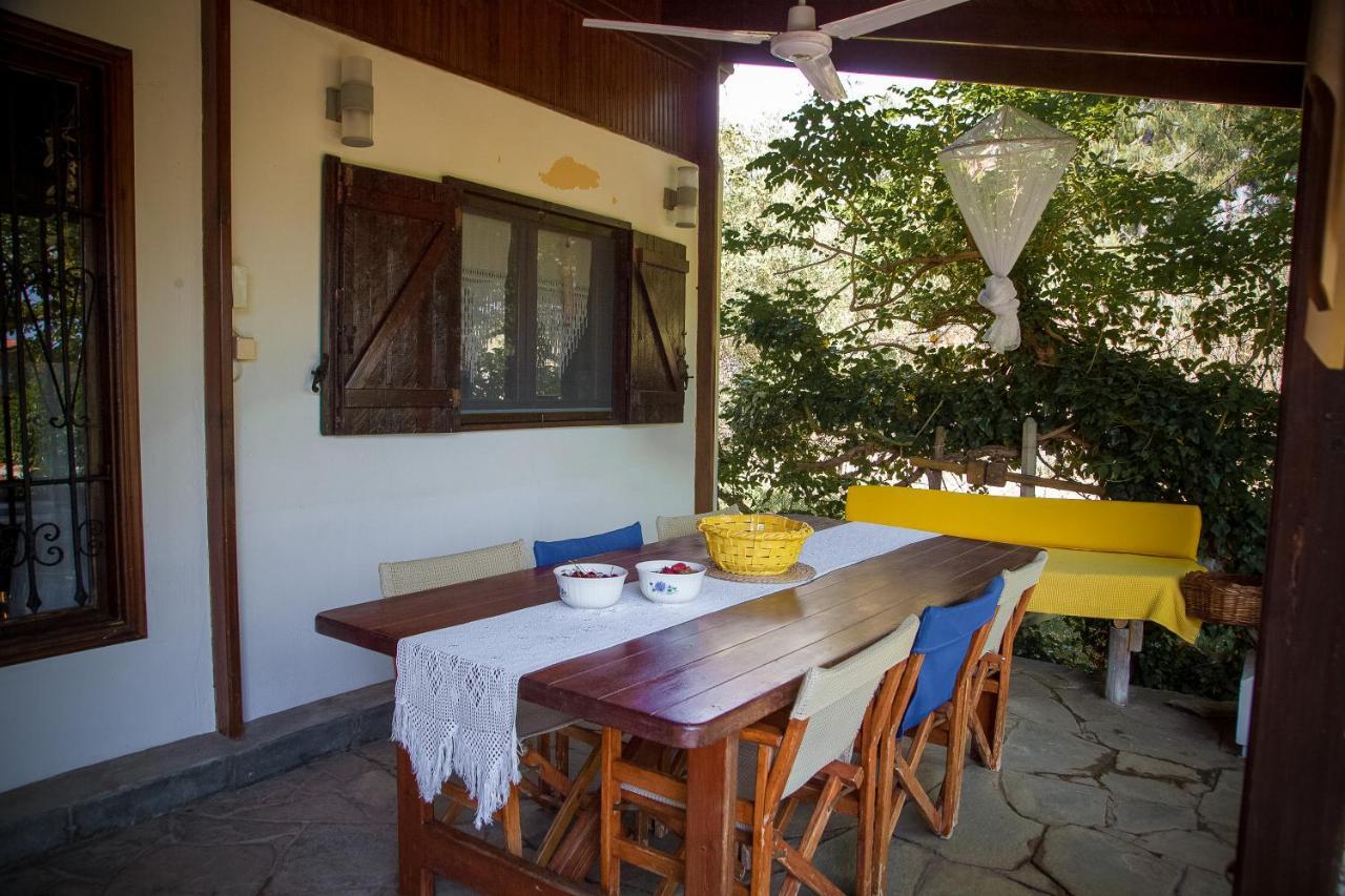 Estate Irene Villa Alexandroupoli Bagian luar foto