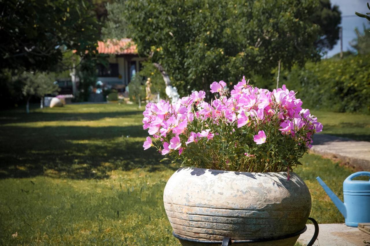 Estate Irene Villa Alexandroupoli Bagian luar foto