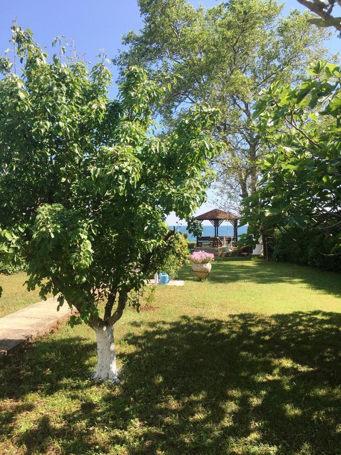 Estate Irene Villa Alexandroupoli Bagian luar foto