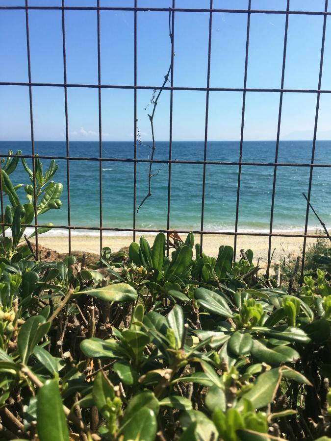 Estate Irene Villa Alexandroupoli Bagian luar foto